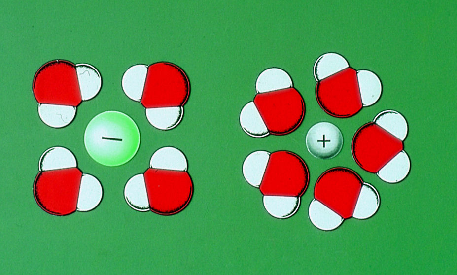 Bild anklicken für größere Abbildung