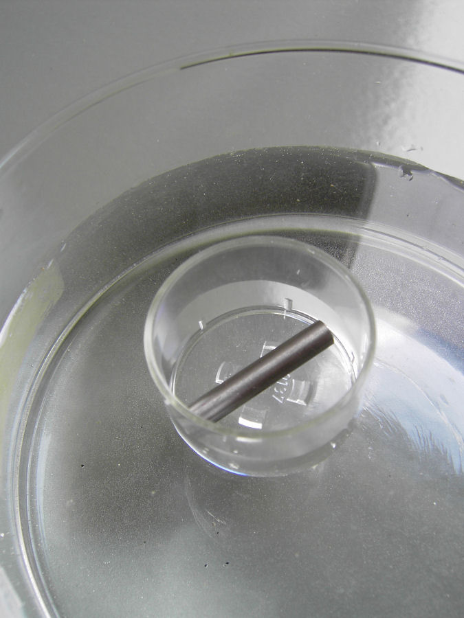 Bild anklicken für größere Abbildung