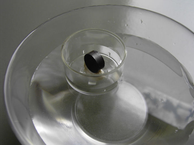 Bild anklicken für größere Abbildung